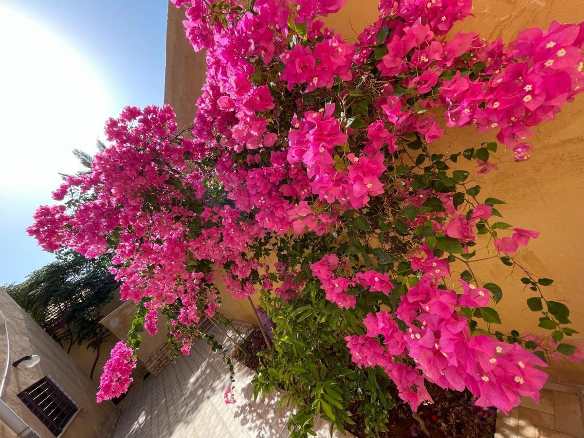Orient Villa-dead Sea * Sweimeh